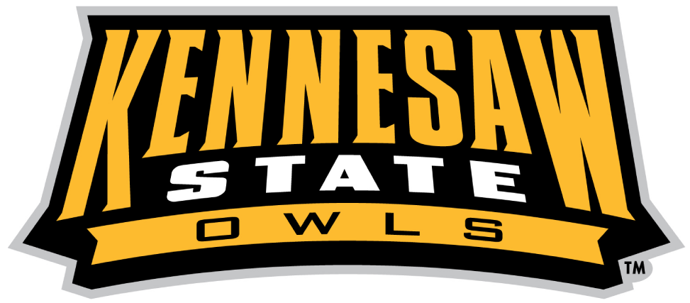 Kennesaw State Owls 2012-Pres Wordmark Logo v2 diy DTF decal sticker